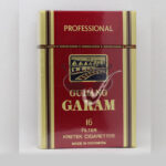 Gudang Garam Professional 16